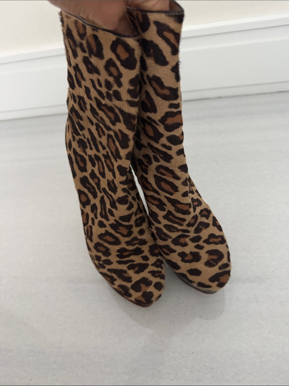 Charlotte Olympia Leopard-Print Ankle Boots - Brown & Black